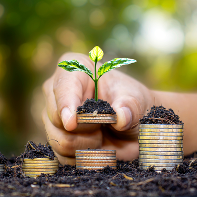 Financial Wellness, Healthy Habits